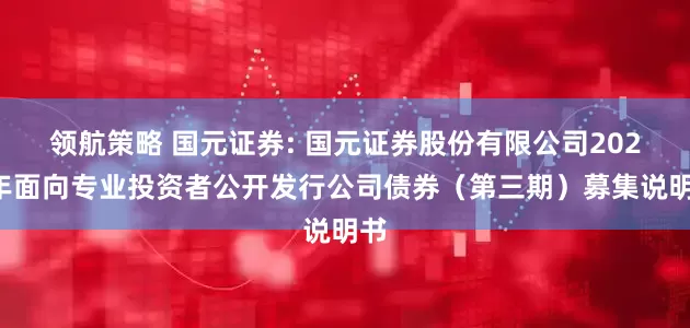 领航策略 国元证券: 国元证券股份有限公司2025年面向专业投资者公开发行公司债券(第三期)募集说明书