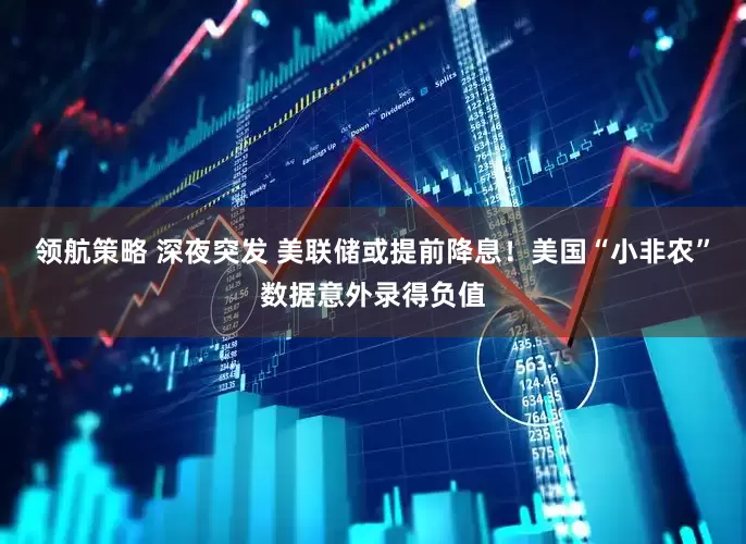 领航策略 深夜突发 美联储或提前降息！美国“小非农”数据意外录得负值