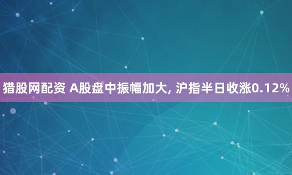 猎股网配资 A股盘中振幅加大, 沪指半日收涨0.12%