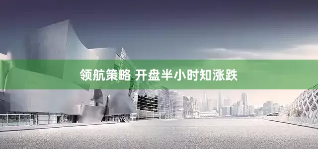 领航策略 开盘半小时知涨跌